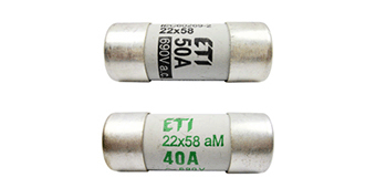 22 x 58mm Fuses (European Std.)