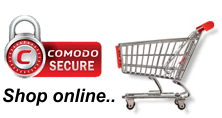 Secure online shopping